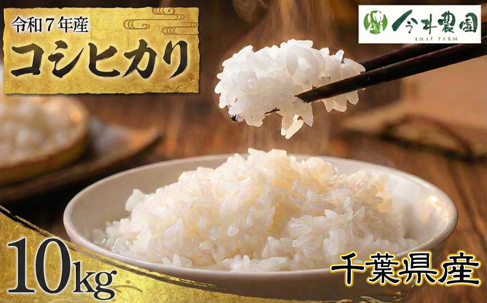 【令和7年産】千葉県産コシヒカリ（精米）10kg