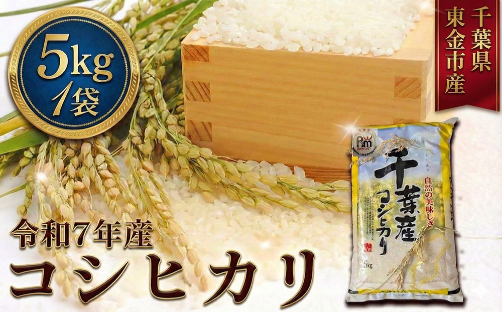 令和7年産 コシヒカリ5kg（千葉県東金市産）