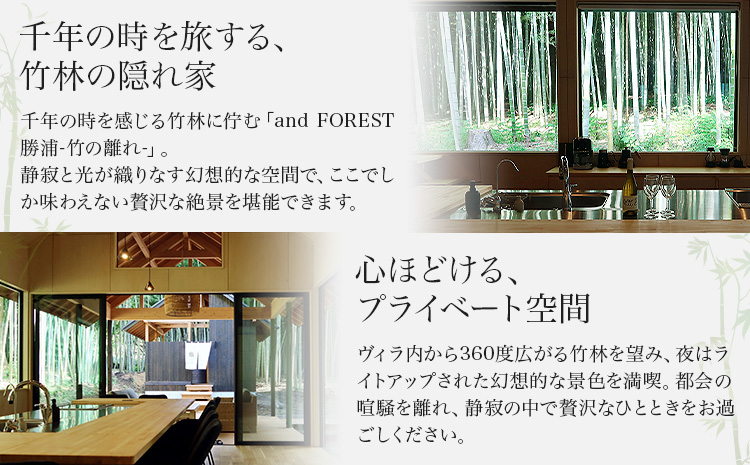 and FOREST勝浦 竹の離れ 宿泊券 1~4名 1泊 ケータリング付き 特定日 株式会社タスマニアンプロジェクト《30日以内に出荷予定(土日祝除く)》千葉県 勝浦市 宿泊券 サウナ付き