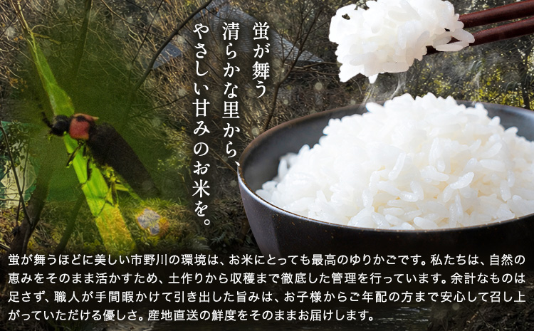 ç±³ ãã ã³ã¡ 什å7å¹Žç£ ãã¡ã®å· ã³ã·ãã«ãª çœç±³ 3kg åžéå·ç±³è£œäœæ ã30æ¥ä»¥å
ã«åºè·äºå®(忥ç¥é€ã)ãç±³ ã飯 ããã²ãã