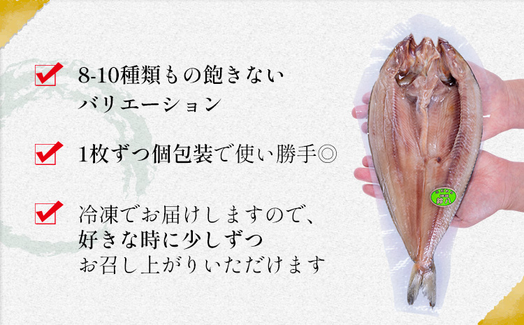 旬の特選干物セット 8-10種16枚 株式会社鈴八フーズ 《30日以内に出荷予定(土日祝除く)》【配送不可地域：離島】さんま アジ 小アジ 金目鯛 イカ カマス 赤魚 さば エボ鯛 鯛 カレイ ホッケ