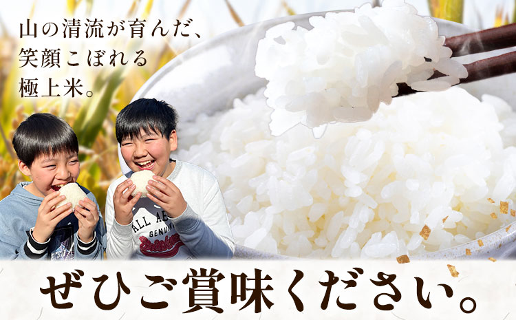 ç±³ ãã ã³ã¡ 什å7å¹Žç£ ãã¡ã®å· ã³ã·ãã«ãª çœç±³ 5kg åžéå·ç±³è£œäœæ ã30æ¥ä»¥å
ã«åºè·äºå®(忥ç¥é€ã)ãç±³ ã飯 ããã²ãã