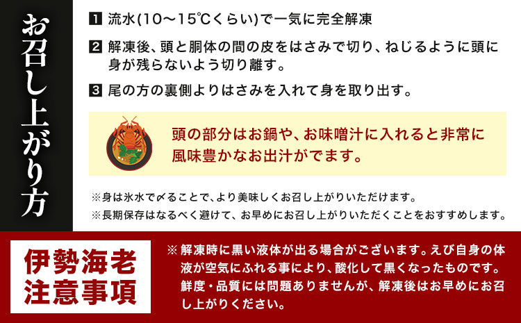 縲仙絢霄ォOK縲大鴻闡臥恁蜍晄オヲ逕」 逕溷キ豢サ縲 螟ゥ辟カ莨雁兇豬キ閠 2kg 6-10蟆セ蜈・ 譬ェ蠑丈シ夂、セ荳イ豬懈ーエ逕」縲90譌・莉・蜀縺ォ蜃コ闕キ莠亥ョ(蝨滓律逾晞勁縺)縲句鴻闡臥恁 蜍晄オヲ蟶 莨雁兇豬キ閠 豬キ閠 縺医ウ縲宣埼∽ク榊庄蝨ー蝓溘≠繧翫托シ磯屬蟲カシ峨1504522縲