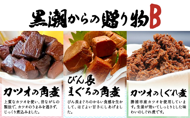 千葉県勝浦市 黒潮からの贈り物B(佃煮詰合せ) 有限会社 佃煮近江《30日以内に出荷予定(土日祝除く)》カツオの角煮 カツオのしぐれ煮 びん長まぐろの角煮【配送不可地域：離島】　2506