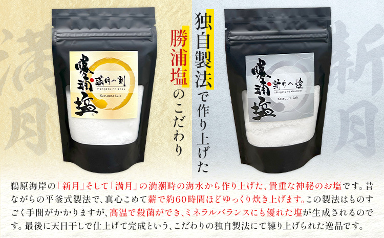 千葉県 勝浦市 満月の刻 100g と 新月の煌 100g 各5袋 セット 【配送不可地域あり】 《30日以内に出荷予定(土日祝除く)》 塩 勝浦塩 調味料