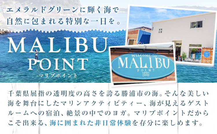 オリジナル サーフボード カスタム オーダー券 オーダーメイド マリブポイント《90日以内に出荷予定(土日祝除く)》サーフィン 海 ボード マリンスポーツ 千葉県 勝浦市【配送不可地域あり】