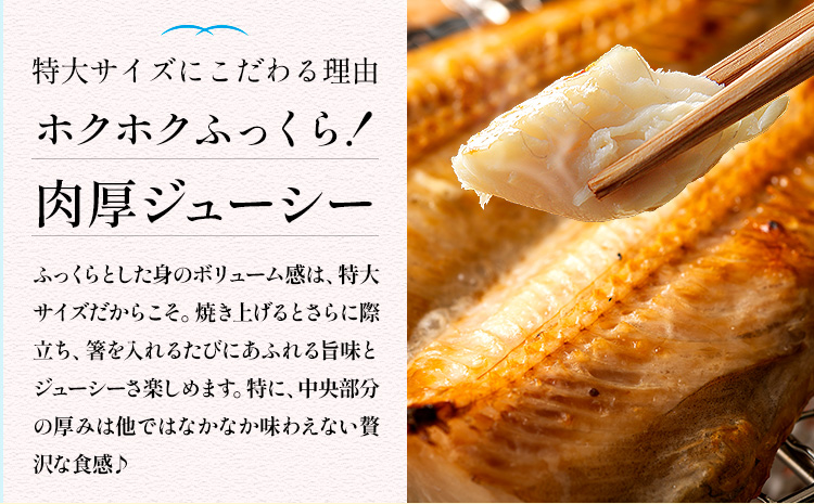 ç¹å€§ ã·ãããã± éã 5æ çŽ450g åèš çŽ2.2kg æ ªåŒäŒç€Ÿè¥¿å·ã90æ¥ä»¥å
ã«åºè·äºå®(忥ç¥é€ã)ãåèç åæµŠåž ç¹å€§èå ã·ãããã± ããŸã»ã£ã ã»ã£ã éæç¡æãé
éäžå¯å°åããïŒé¢å³¶ã