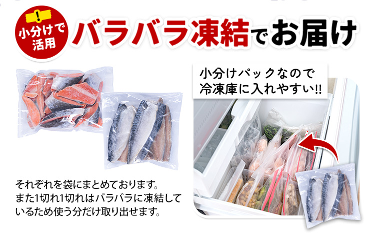 訳あり 人気アイテム 詰め合わせ 塩銀鮭 切り落とし 1.5kg + 塩サバ 1kg 合計 約 2.5kg 株式会社西川 《90日以内に出荷予定(土日祝除く)》千葉県 勝浦市 塩銀鮭 塩サバ 魚 切り落とし 冷凍 訳あり 手作り 惣菜【配送不可地域：離島】