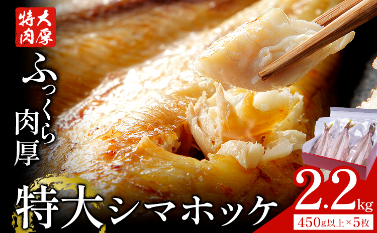 ç¹å€§ ã·ãããã± éã 5æ çŽ450g åèš çŽ2.2kg æ ªåŒäŒç€Ÿè¥¿å·ã90æ¥ä»¥å
ã«åºè·äºå®(忥ç¥é€ã)ãåèç åæµŠåž ç¹å€§èå ã·ãããã± ããŸã»ã£ã ã»ã£ã éæç¡æãé
éäžå¯å°åããïŒé¢å³¶ã