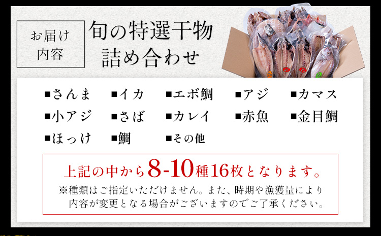 旬の特選干物セット 8-10種16枚 株式会社鈴八フーズ 《30日以内に出荷予定(土日祝除く)》【配送不可地域：離島】さんま アジ 小アジ 金目鯛 イカ カマス 赤魚 さば エボ鯛 鯛 カレイ ホッケ