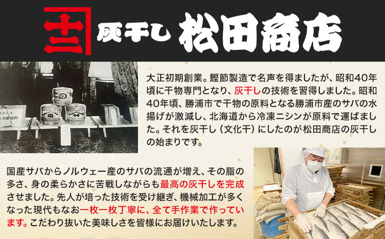  勝浦松田商店 灰干しさば ノルウェー産 選べる 内容量 Mサイズ 約210g 6枚入《30日以内に出荷予定(土日祝除く)》千葉県 勝浦市 真空包装【配送不可地域あり】
