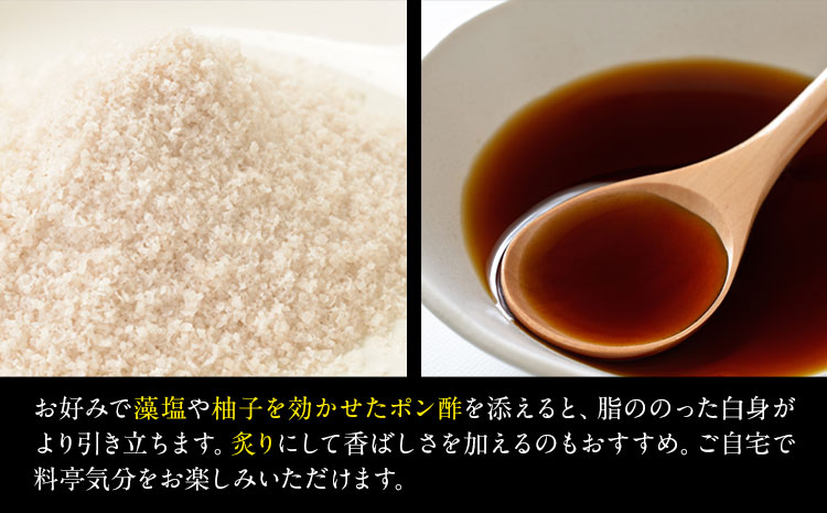 勝浦市産 釣り金目鯛刺身 400g(200g×2パック)《30日以内に出荷予定(土日祝除く)》千葉県 勝浦市 海産物 刺身 鯛 金目鯛 魚 海鮮