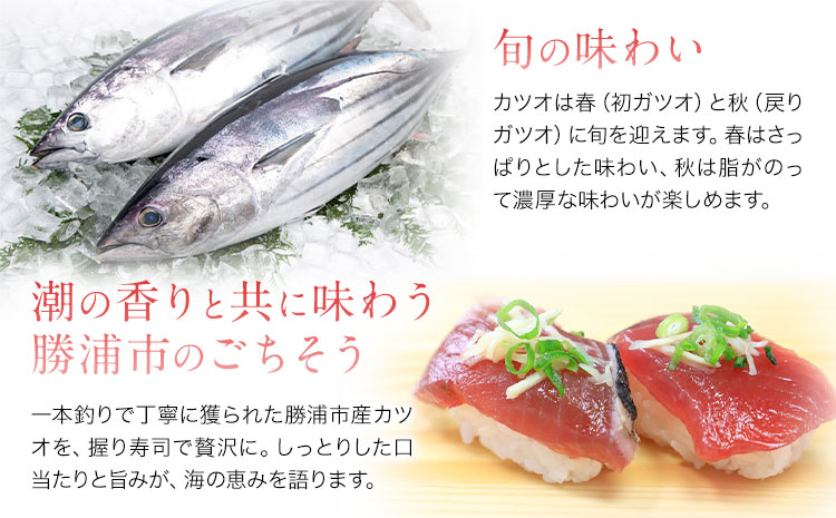 勝浦市産 カツオの握り寿司 12貫（4貫×3パック）《30日以内に出荷予定(土日祝除く)》千葉県 勝浦市 海産物 カツオ 鰹 寿司 すし 魚 海鮮