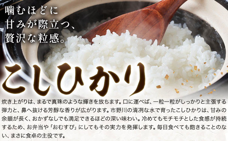 ç±³ ãã ã³ã¡ 什å7å¹Žç£ ãã¡ã®å· ã³ã·ãã«ãª çœç±³ 5kg åžéå·ç±³è£œäœæ ã30æ¥ä»¥å
ã«åºè·äºå®(忥ç¥é€ã)ãç±³ ã飯 ããã²ãã