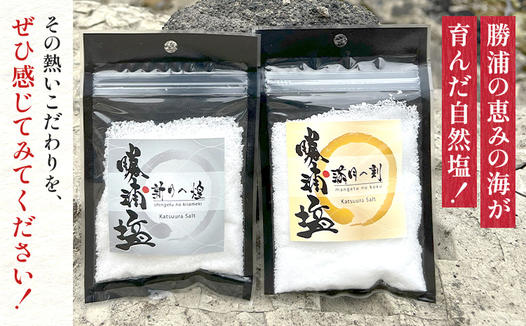 千葉県 勝浦市 満月の刻 45g と 新月の煌 45g  各10袋 セット 【配送不可地域あり】 《30日以内に出荷予定(土日祝除く)》 塩 勝浦塩 調味料