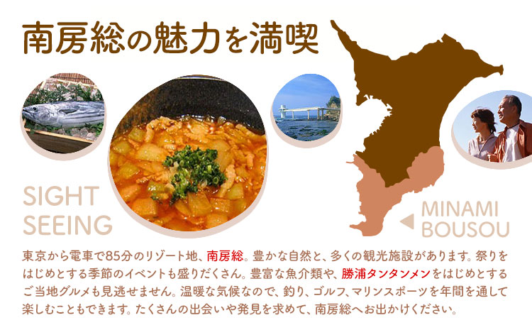 勝浦ヒルトップホテル 宿泊券  食事なし 平日 1組4名様 勝浦ヒルトップホテル《30日以内に出荷予定(土日祝除く)》千葉県 勝浦市 ホテル 宿泊 宿泊券 チケット 送料無料【配送不可地域：離島】