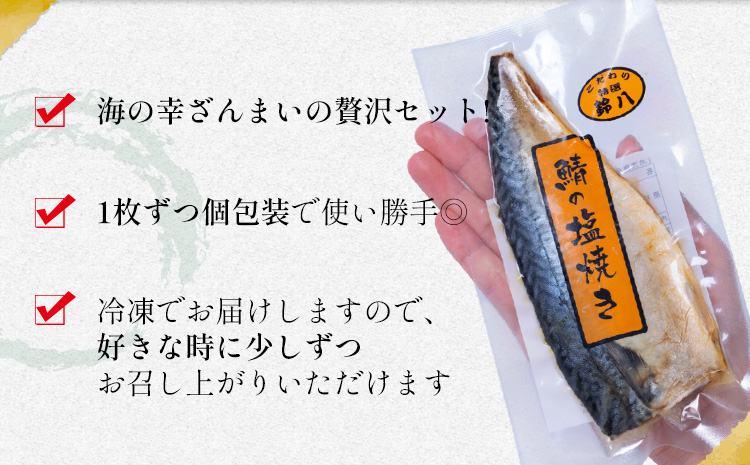 干物・焼魚・塩辛セット 4~6種10枚 株式会社鈴八フーズ 《30日以内に出荷予定(土日祝除く)》【配送不可地域：離島】塩辛100gさばの塩焼き さけの塩焼き 干物 アジ カレイ 金目鯛 イカ ホッケ 鯛 さば 赤魚 さんま エボ 鯛 カサゴ カマス