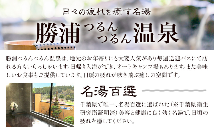 つるんつるんボディーソープ 950ml×1本 勝浦つるんつるん温泉《30日以内に出荷予定(土日祝除く)》千葉県 勝浦市 ボディーソープ お風呂 入浴 バスタイム 肌【配送不可地域あり】