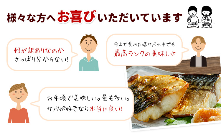 【訳あり】勝浦市の人気 無添加 塩サバ 3kg 株式会社西川《30日以内に出荷予定(土日祝除く)》千葉県 勝浦市  塩サバ 鯖 さば サバ 魚 切り身 無添加 冷凍 訳あり【配送不可地域：離島】2506