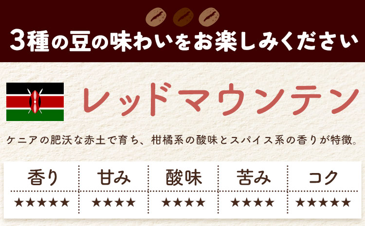 自家焙煎スペシャルティ 珈琲 ドリップバッグ 3種 セット 1箱:ドリップバッグ5個入り AyaHaruCoffee《90日以内に出荷予定(土日祝除く)》千葉県 勝浦市 自家焙煎 珈琲 ドリップバッグ 飲み比べ レッドマウンテン シャンリー ンゴロンゴロ【配送不可地域：離島】