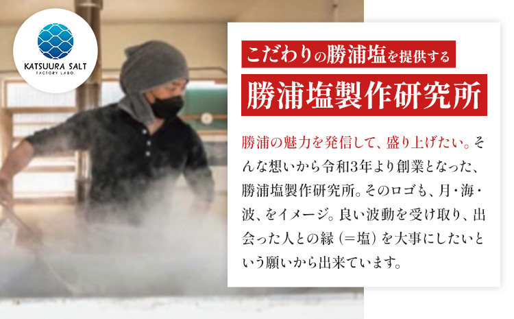 千葉県 勝浦市 満月の刻 45g と 新月の煌 45g 各1袋 セット 【配送不可地域あり】 《30日以内に出荷予定(土日祝除く)》 塩 勝浦塩 調味料