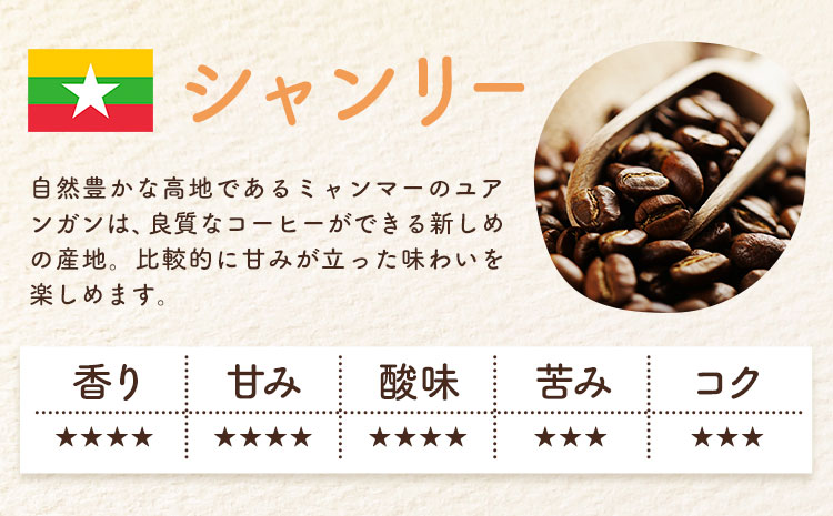 自家焙煎スペシャルティ 珈琲 ドリップバッグ 3種 セット 1箱:ドリップバッグ5個入り AyaHaruCoffee《90日以内に出荷予定(土日祝除く)》千葉県 勝浦市 自家焙煎 珈琲 ドリップバッグ 飲み比べ レッドマウンテン シャンリー ンゴロンゴロ【配送不可地域：離島】