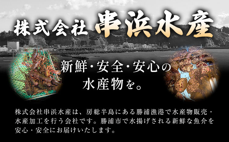 縲仙絢霄ォOK縲大鴻闡臥恁蜍晄オヲ逕」 逕溷キ豢サ縲 螟ゥ辟カ莨雁兇豬キ閠 3kg 6-11蟆セ蜈・ 譬ェ蠑丈シ夂、セ荳イ豬懈ーエ逕」縲90譌・莉・蜀縺ォ蜃コ闕キ莠亥ョ(蝨滓律逾晞勁縺)縲句鴻闡臥恁 蜍晄オヲ蟶 莨雁兇豬キ閠 豬キ閠 縺医ウ縲宣埼∽ク榊庄蝨ー蝓溘≠繧翫托シ磯屬蟲カシ峨1506779縲