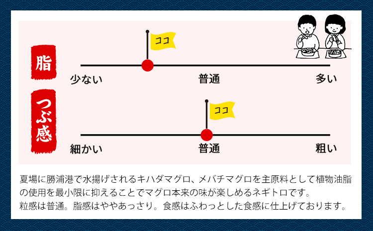 勝浦市 人気 海鮮 お礼品 ネギトロ 250g × 6パック 合計 約1.5kg 株式会社西川《90日以内に出荷予定(土日祝除く)》千葉県 勝浦市 ネギトロ 魚 マグロ 大容量 冷凍 海鮮【配送不可地域：離島】