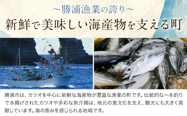 勝浦市産 カツオの握り寿司 12貫（4貫×3パック）《30日以内に出荷予定(土日祝除く)》千葉県 勝浦市 海産物 カツオ 鰹 寿司 すし 魚 海鮮