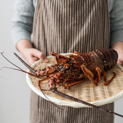 天然伊勢海老・千葉県生冷活〆 大サイズ 600gUP×3尾入1.8kg【刺身OK】贈答【配送不可地域：離島】【1498739】