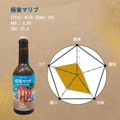 クラフトビール3種飲み比べセット【瓶330ml×12本】千葉県勝浦市にある醸造所より直送【配送不可地域：離島】【1456192】