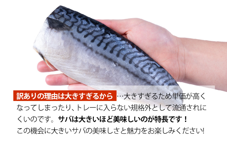 【訳あり】勝浦市の人気 無添加 塩サバ 3kg 株式会社西川《90日以内に出荷予定(土日祝除く)》千葉県 勝浦市  塩サバ 鯖 さば サバ 魚 切り身 無添加 冷凍 訳あり【配送不可地域：離島】