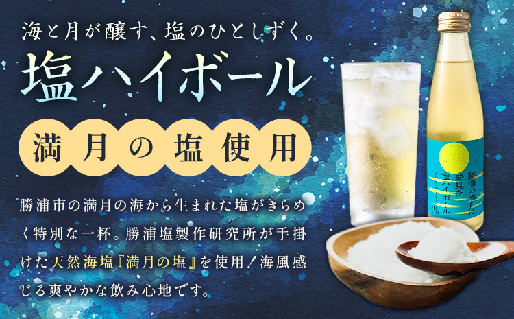 塩ハイボール 24本 勝浦の満月に夢見た塩ハイボール 《30日以内に出荷予定(土日祝除く)》 ノンアルコール アルコールフリー 天然海塩 満月の塩 千葉県 勝浦市 MAXIMUS.WORK 株式会社