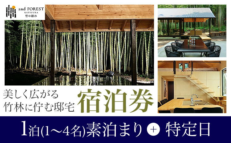 and FOREST勝浦 竹の離れ 宿泊券 1~4名 1泊 素泊まり 特定日 株式会社タスマニアンプロジェクト《30日以内に出荷予定(土日祝除く)》千葉県 勝浦市 宿泊券 サウナ付き