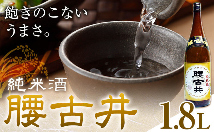 日本酒 腰古井 純米酒 1800ml 1.8L 1本 有限会社 滝口商店《30日以内に出荷予定(土日祝除く)》千葉県 勝浦市 日本酒 酒 純米