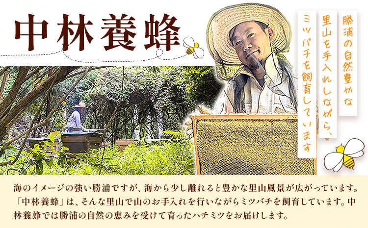 勝浦産 非加熱の 生ハチミツ 200g《30日以内に出荷予定(土日祝除く)》千葉県 勝浦市 はちみつ 蜂蜜 生ハチミツ 非加熱 百花蜜