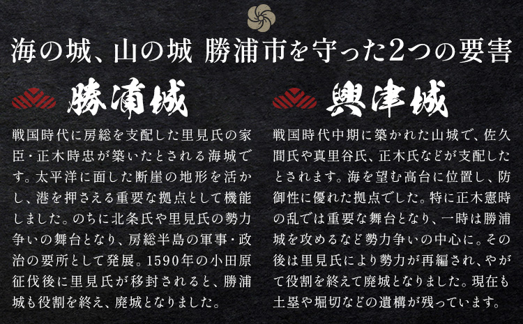 蠕。蝓主魂 蜍晄オヲ蝓 闊域エ・蝓 2譫壹そ繝繝 荳闊ャ遉セ蝗」豕穂ココ蜍晄オヲ蟶りヲウ蜈牙鵠莨壹30譌・莉・蜀縺ォ蜃コ闕キ莠亥ョ(蝨滓律逾晞勁縺)縲句鴻闡臥恁 蜍晄オヲ蟶 豁エ蜿イ 繧ウ繝ャ繧ッ繧ソ繝シ 髮題イィ 蝓