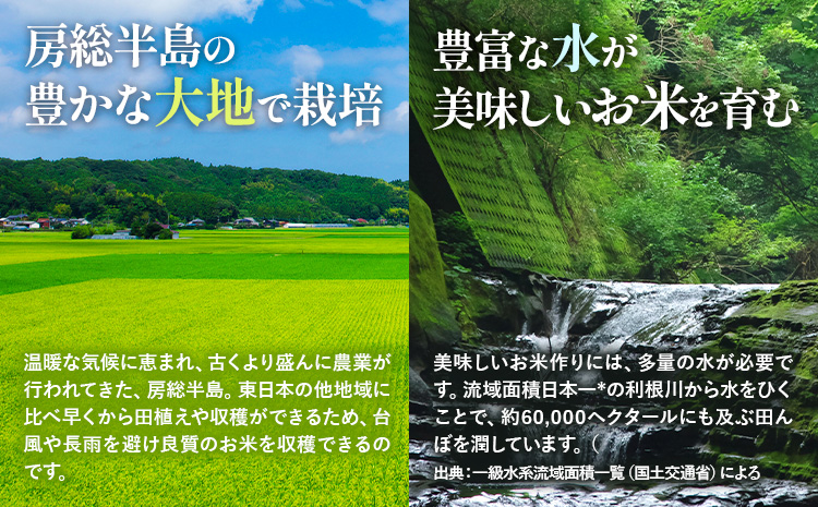【3ヶ月定期便】千葉ふるさと米 20kg《お申込みの翌月から出荷》ブレンド米