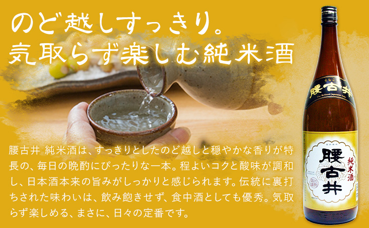 日本酒 腰古井 純米酒 1800ml 1.8L 1本 有限会社 滝口商店《30日以内に出荷予定(土日祝除く)》千葉県 勝浦市 日本酒 酒 純米