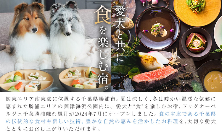 宿泊 離れ 風月 ドッグオーベルジュ 宿泊補助券 10万円分《30日以内に出荷予定(土日祝除く)》離れ 風月 千葉県 勝浦市 ホテル お食事 犬 ワンちゃん わんちゃん ドッグラン ドッグフード ペット 旅行