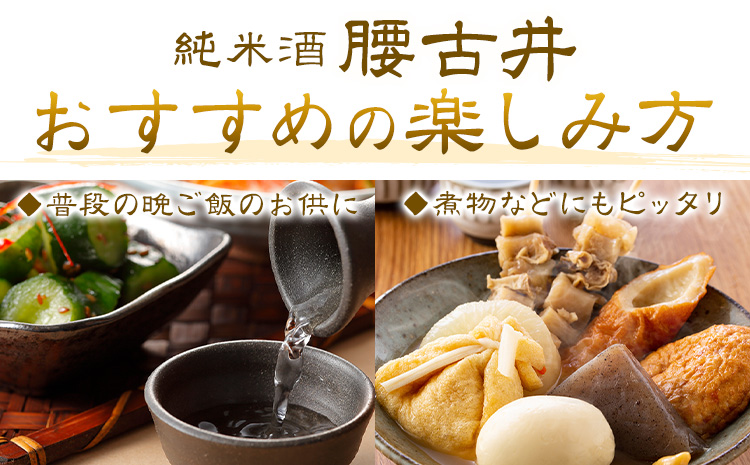 日本酒 腰古井 純米酒 1800ml 1.8L 1本 有限会社 滝口商店《30日以内に出荷予定(土日祝除く)》千葉県 勝浦市 日本酒 酒 純米