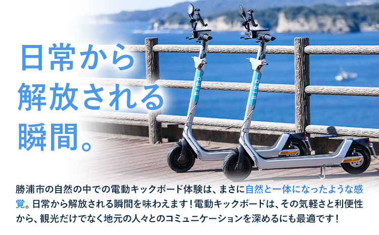 BIRD 電動キックボード 15時間 ライド 無料 ギフトコード 株式会社 Mobilco《90日以内に出荷予定(土日祝除く)》千葉県 勝浦市 電動キックボード 送料無料