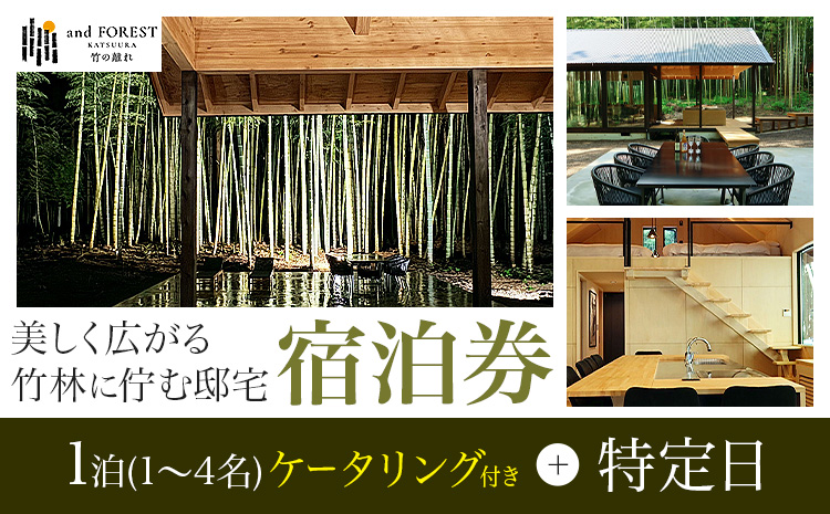 and FOREST勝浦 竹の離れ 宿泊券 1~4名 1泊 ケータリング付き 特定日 株式会社タスマニアンプロジェクト《30日以内に出荷予定(土日祝除く)》千葉県 勝浦市 宿泊券 サウナ付き