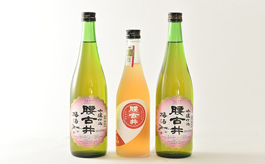 腰古井 梅酒  500ml×1本と720ml×2本セット【1061262】