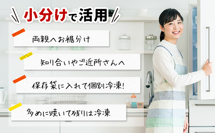 【訳あり】勝浦市の人気 無添加 塩サバ 3kg 株式会社西川《90日以内に出荷予定(土日祝除く)》千葉県 勝浦市  塩サバ 鯖 さば サバ 魚 切り身 無添加 冷凍 訳あり【配送不可地域：離島】