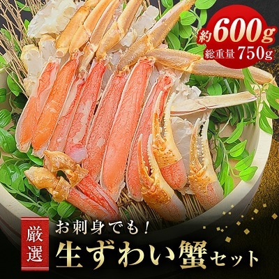 お刺身でも!厳選　生ずわい蟹セット600g総重量約750g(カット済)しゃぶしゃぶ・鍋(かに)【配送不可地域：離島】【1248739】