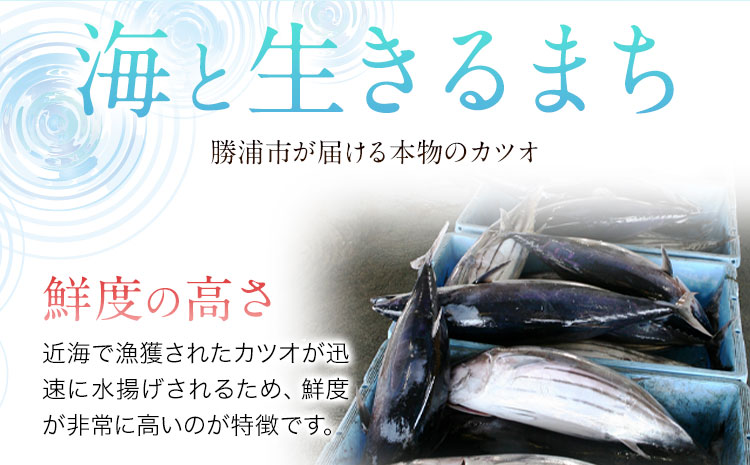 勝浦市産 カツオの握り寿司 4貫《30日以内に出荷予定(土日祝除く)》千葉県 勝浦市 海産物 カツオ 鰹 寿司 すし 魚 海鮮