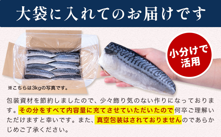 【訳あり】勝浦市の人気 無添加 塩サバ 3kg 株式会社西川《90日以内に出荷予定(土日祝除く)》千葉県 勝浦市  塩サバ 鯖 さば サバ 魚 切り身 無添加 冷凍 訳あり【配送不可地域：離島】