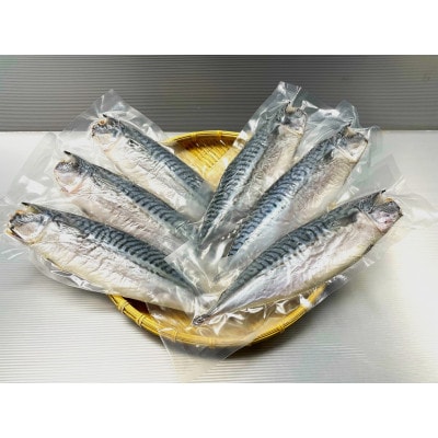 勝浦松田商店の灰干しさば(ノルウェー産)　Mサイズ(約210g)　6枚入　真空包装　　【配送不可地域：離島】【1486091】