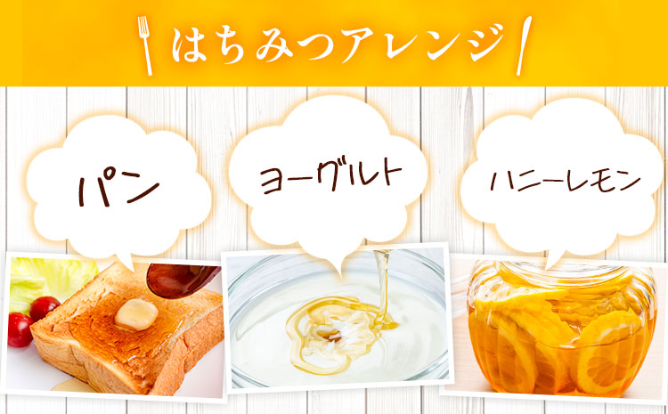 勝浦産 非加熱の 生ハチミツ 200g《30日以内に出荷予定(土日祝除く)》千葉県 勝浦市 はちみつ 蜂蜜 生ハチミツ 非加熱 百花蜜